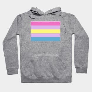 Aporagender Flag Hoodie